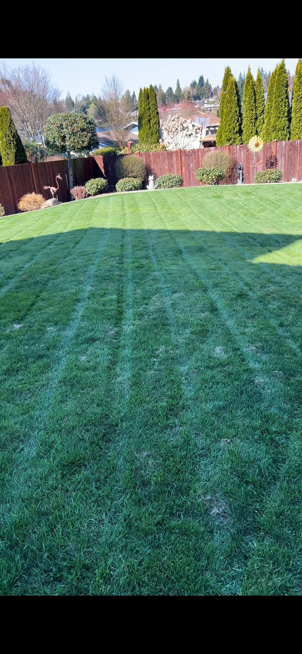 Lawn Maintenance